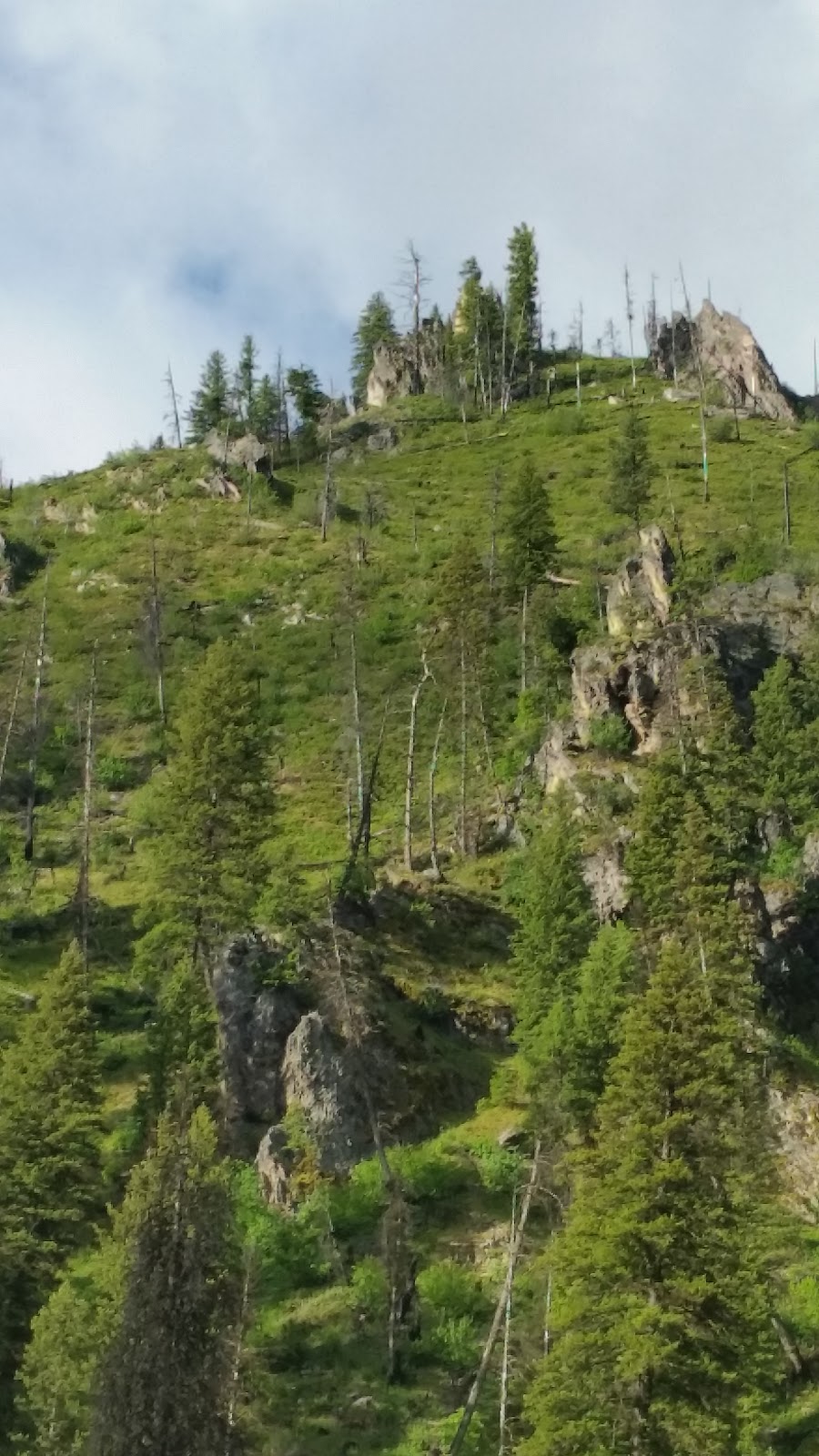 Queens River Campground