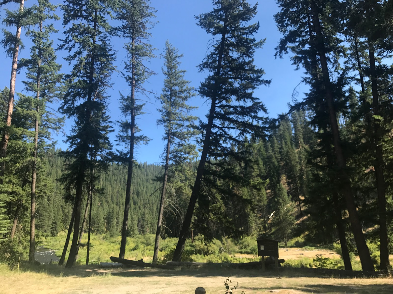 Oriental Creek Campground