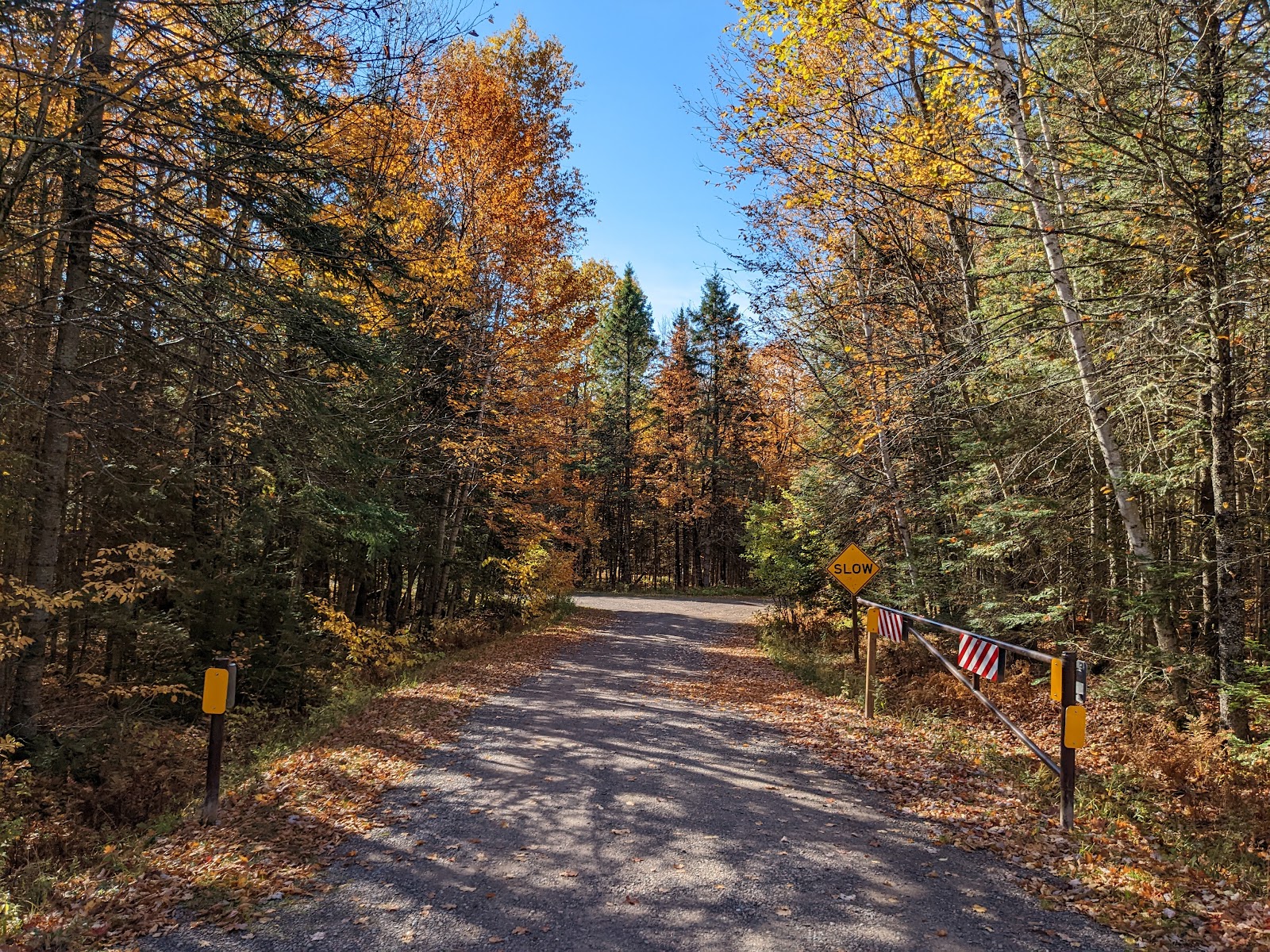 Bobcat Lake NF Campground