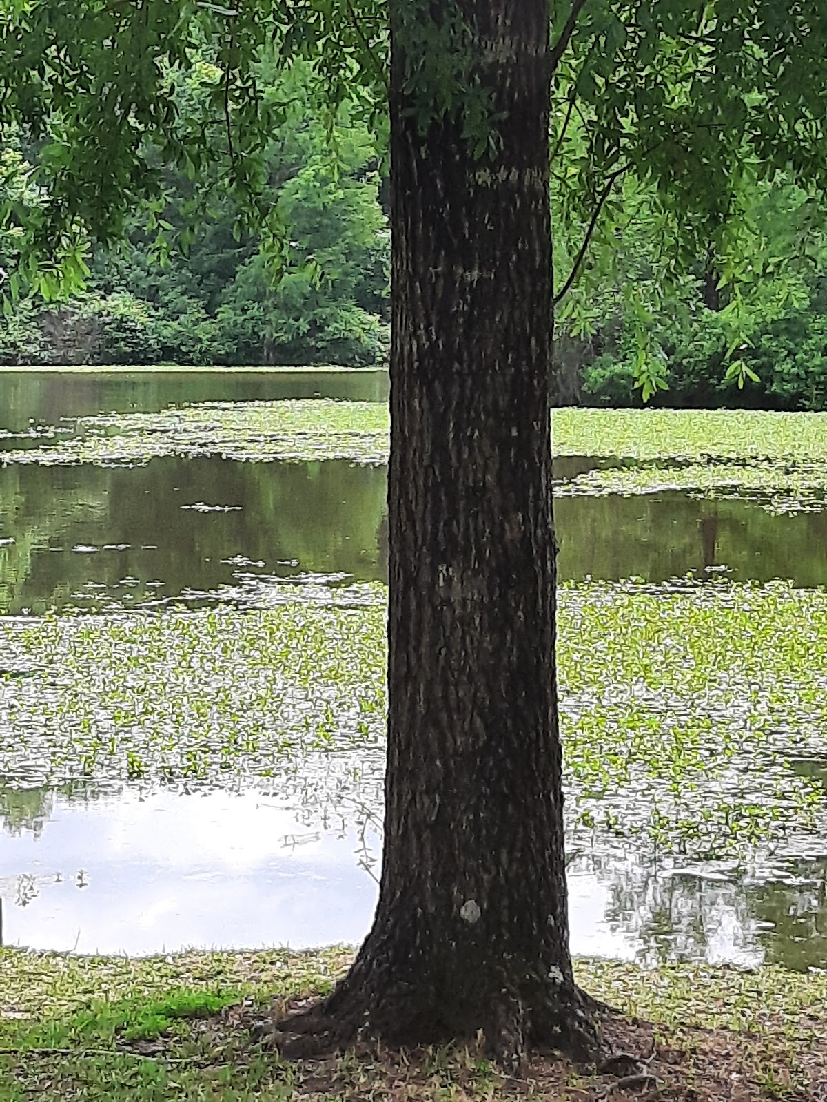 Point A Park Campground