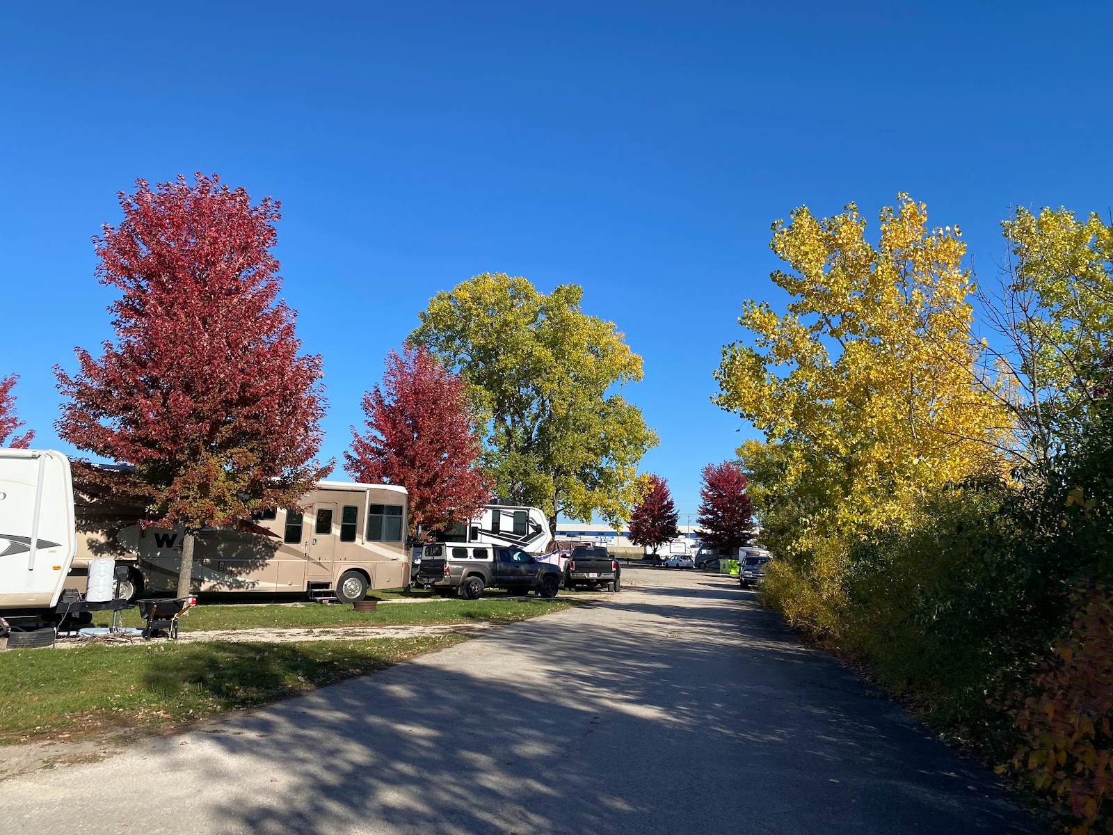 Oshvegas Palms RV Resort