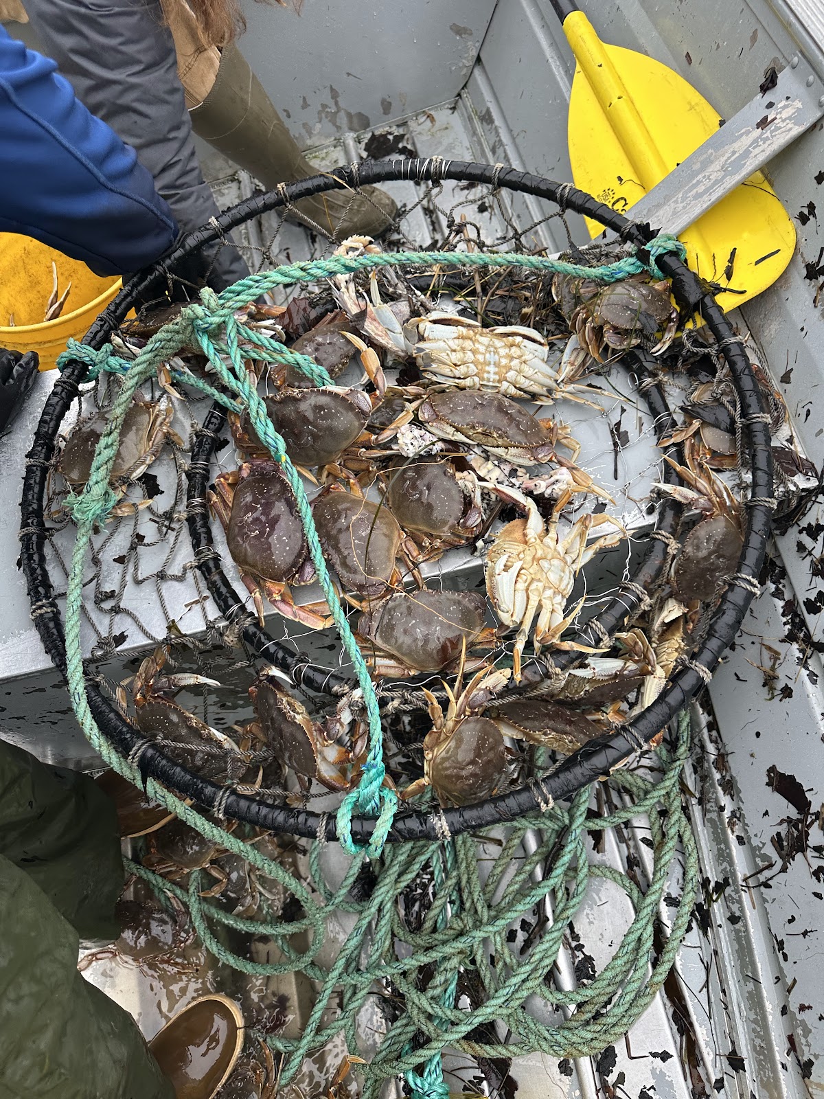 Jetty Fishery Marina & RV Park