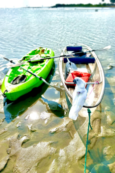 Happy Hannah’s Hound Haven Camping