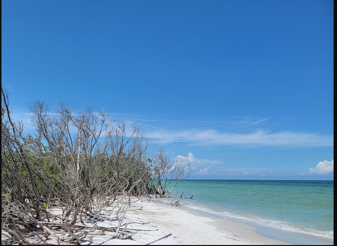 Caladesi Island State Park
