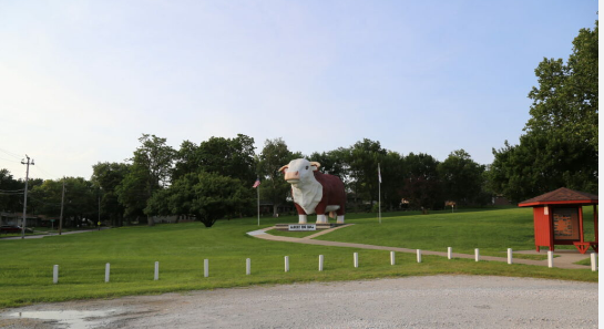 Albert the Bull Campground