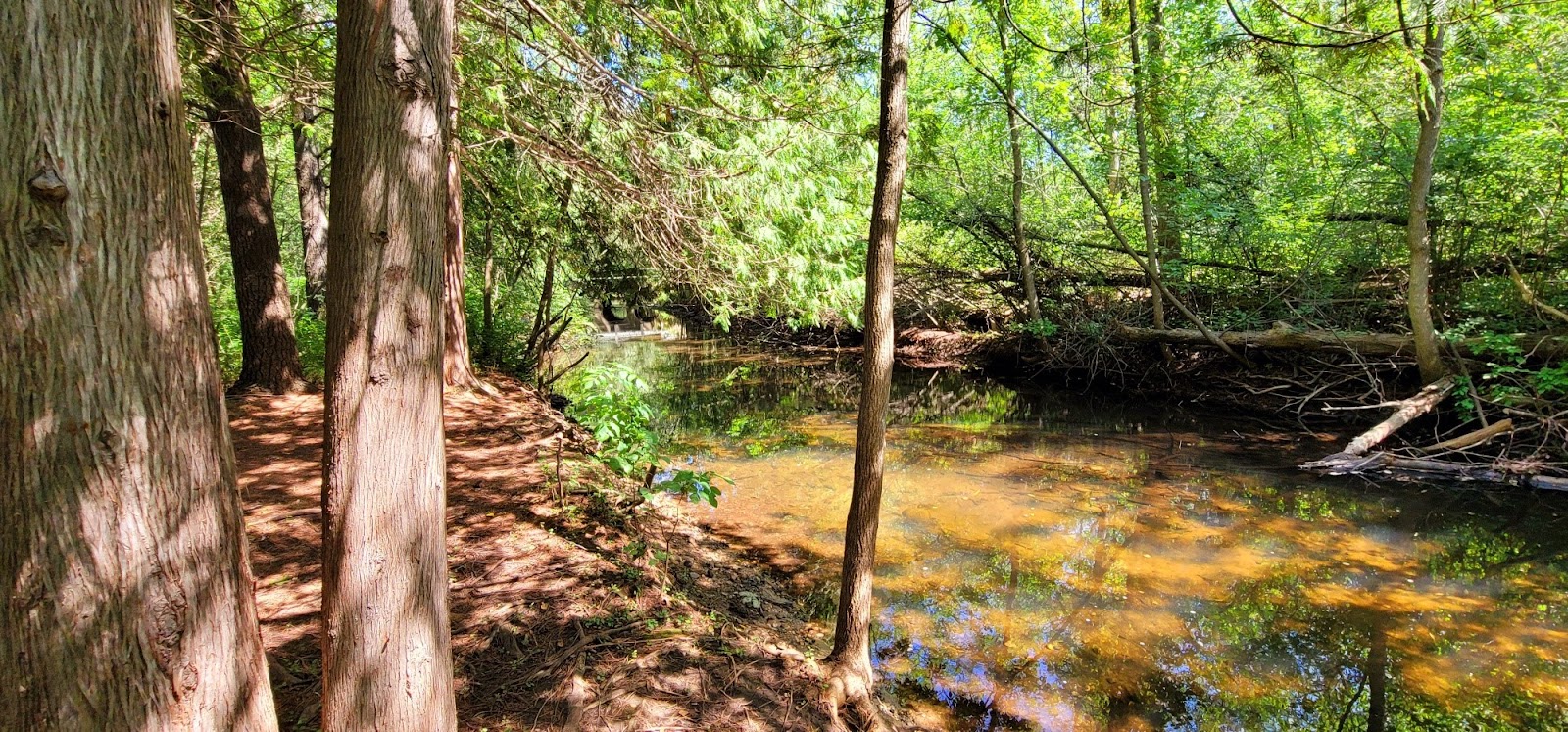 Evergreen Park & Campground