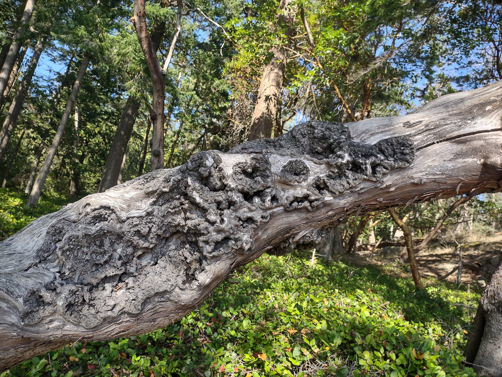 Jones Island State Park