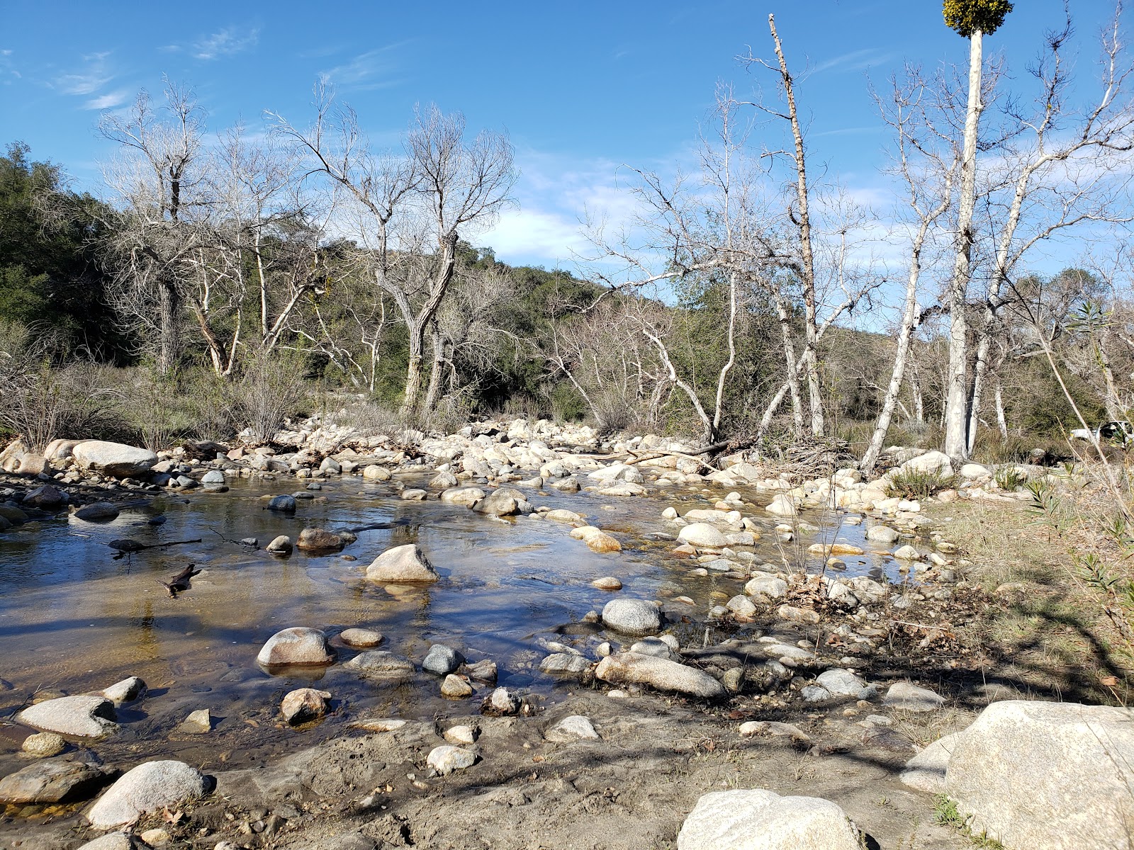 Dripping Springs Campground