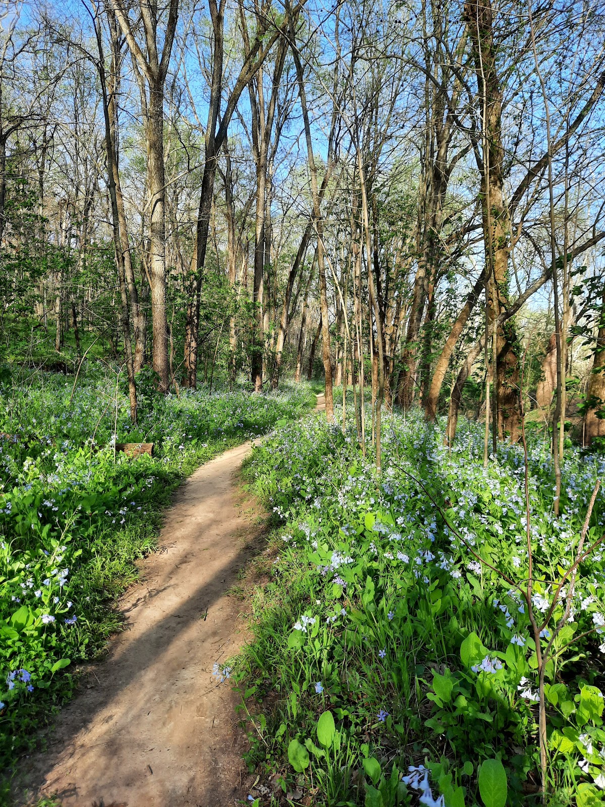 St. Francois State Park