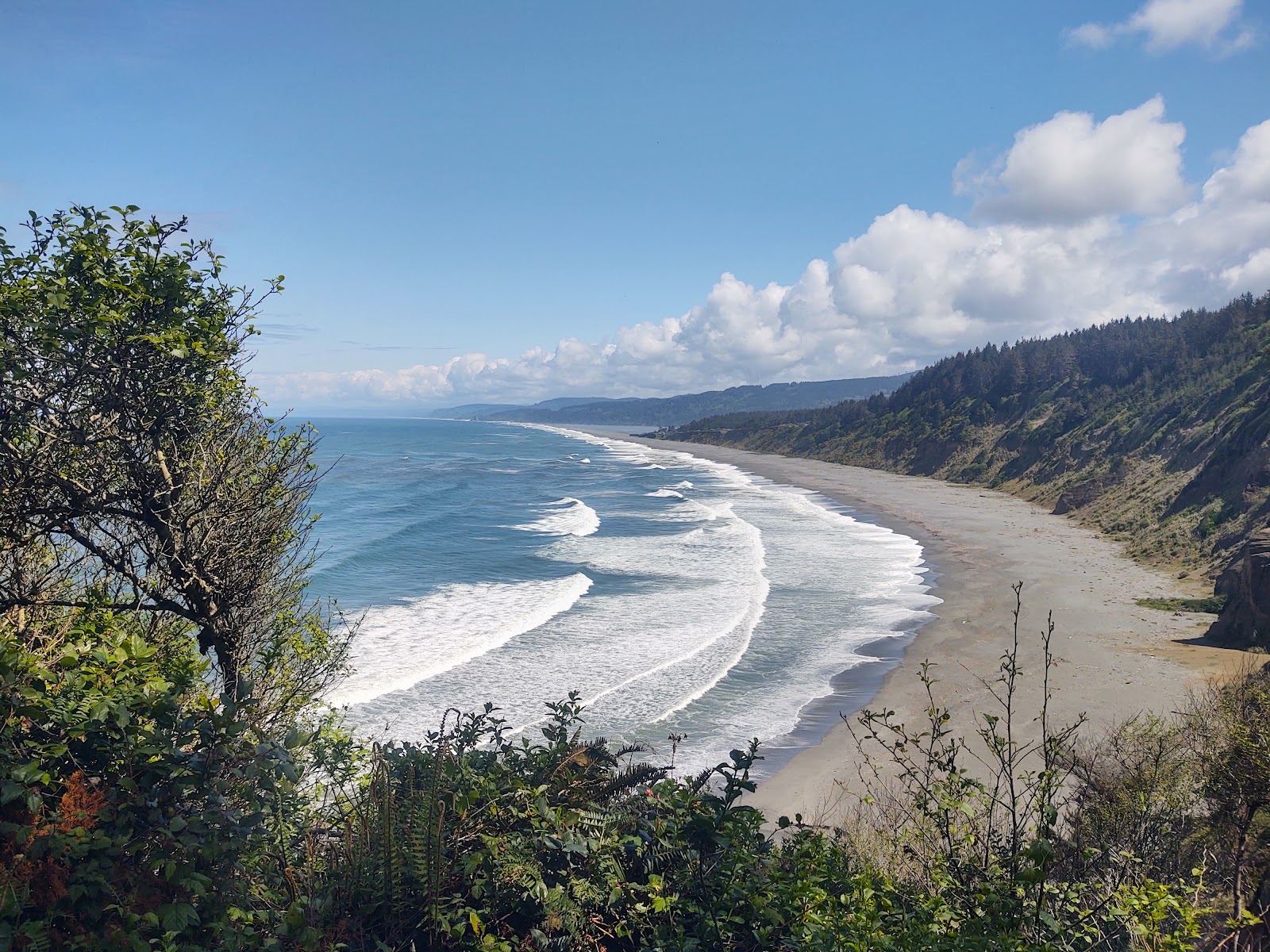 Patrick’s Point State Park