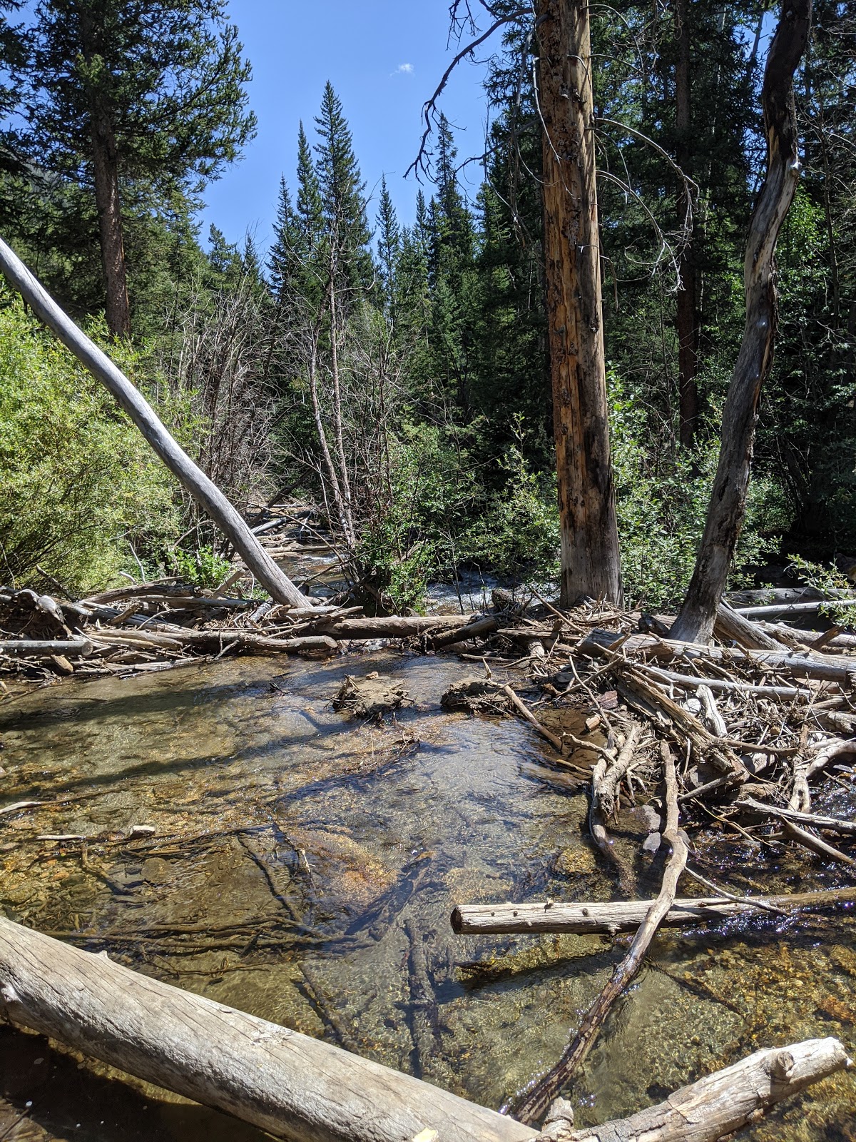 Collegiate Peaks Campground