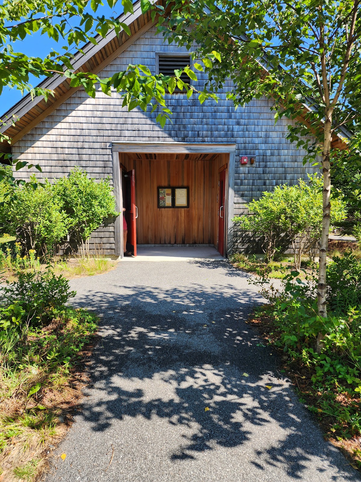 Schoodic Woods Campground