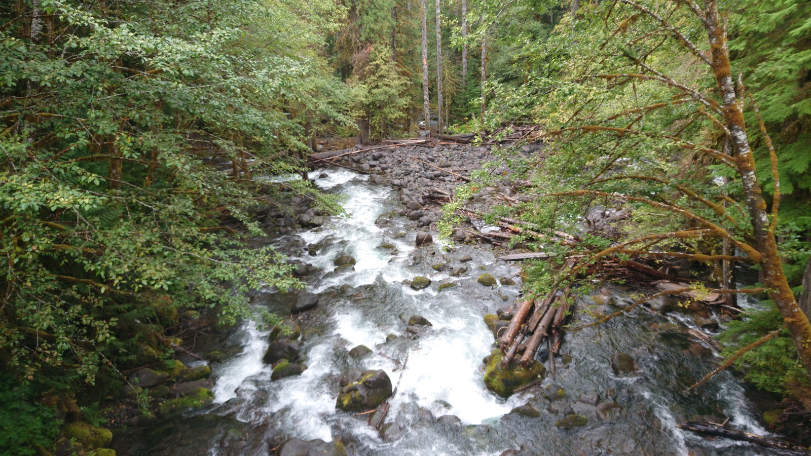 Little Goose Campground