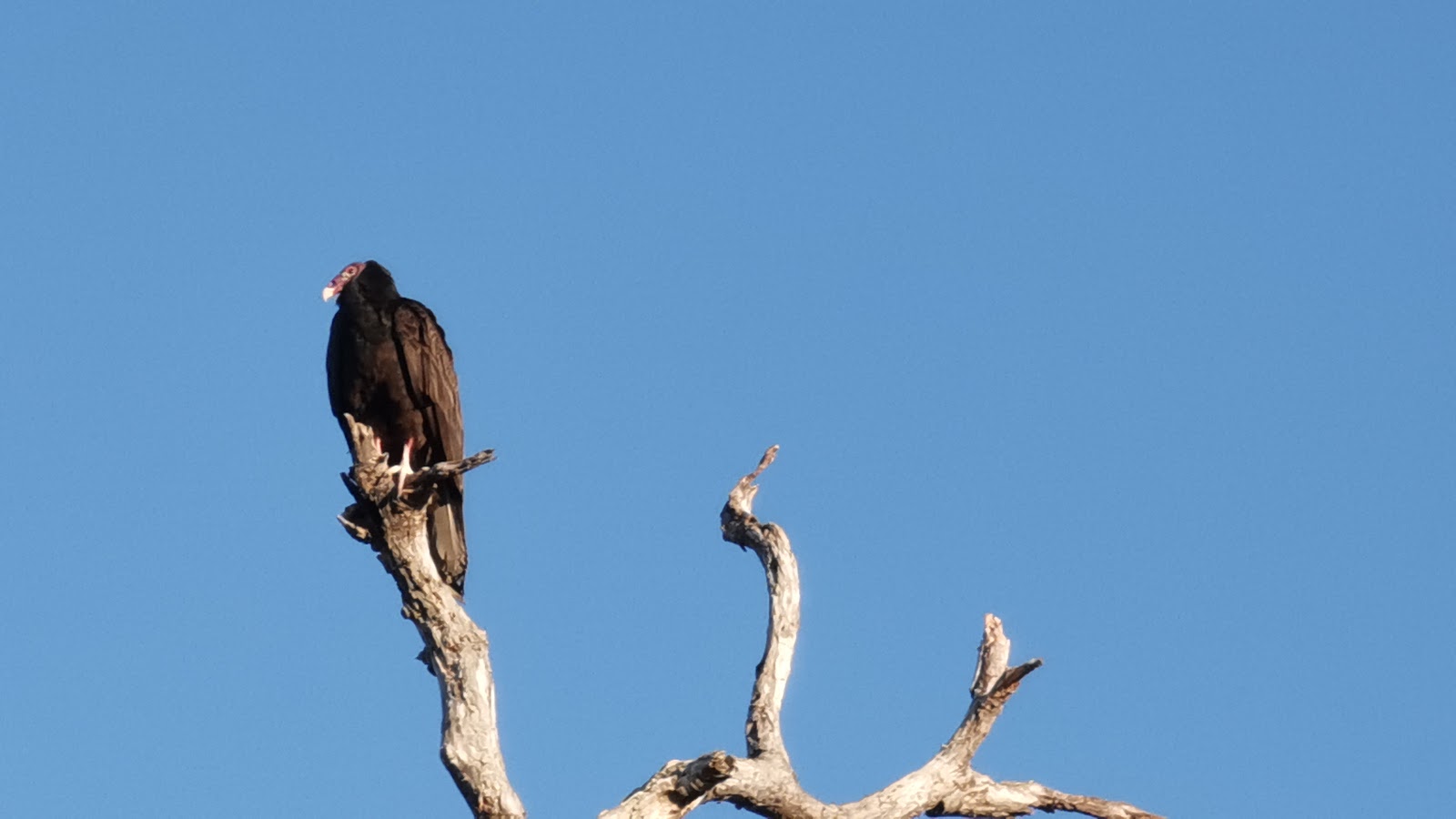 Mitchell Landing Campground
