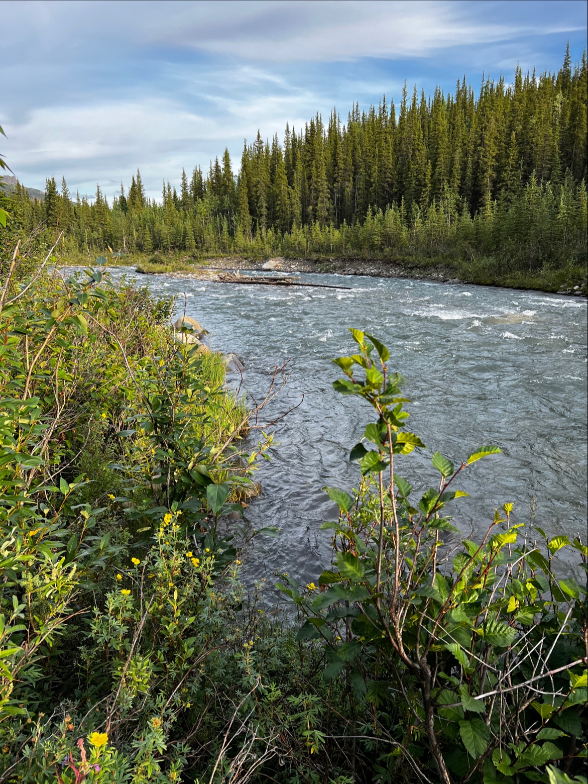 Riley Creek Campground