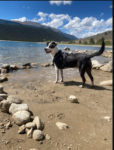 Clear Creek Reservoir Campground