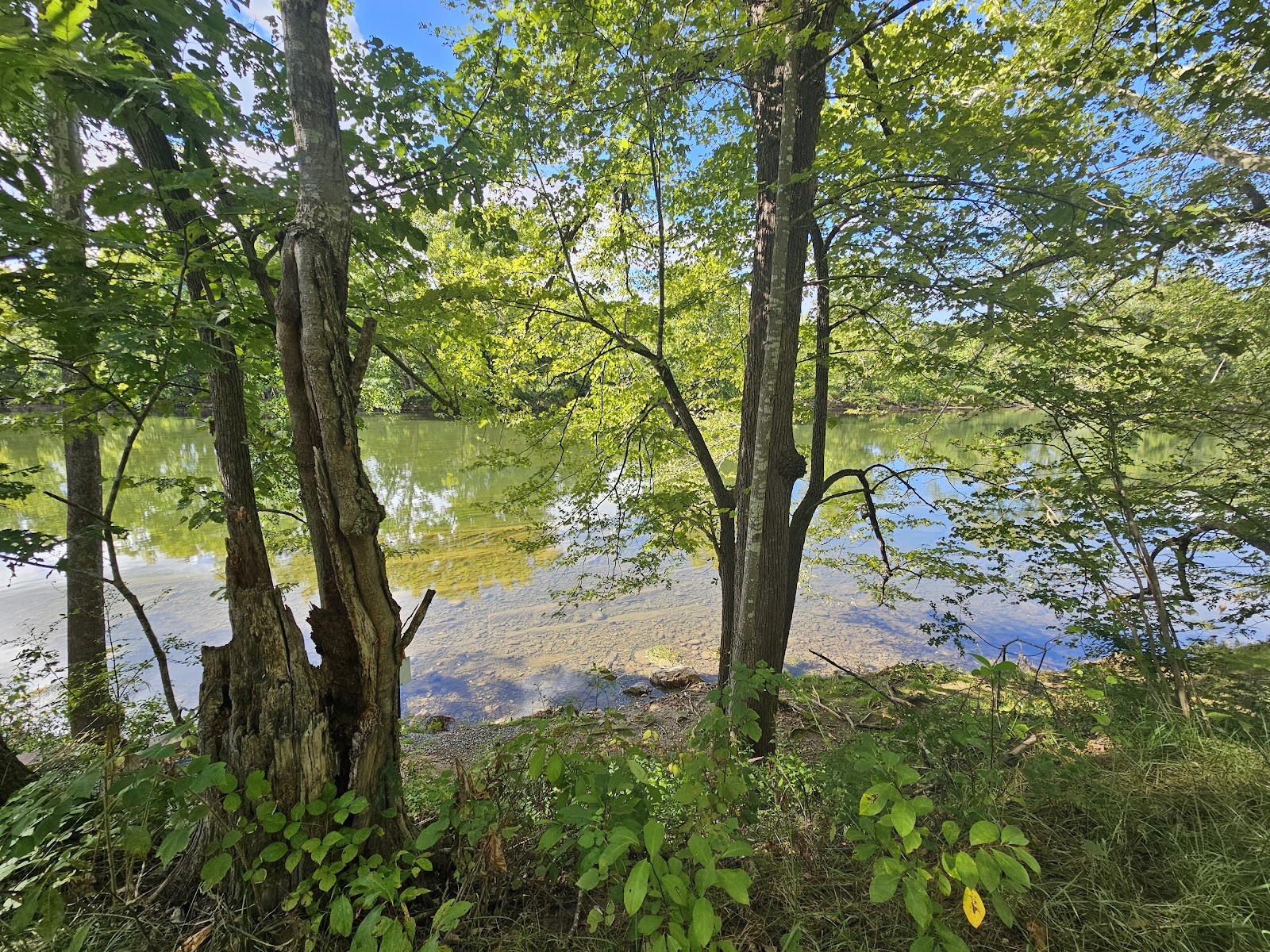 Main - Shenandoah River State Park