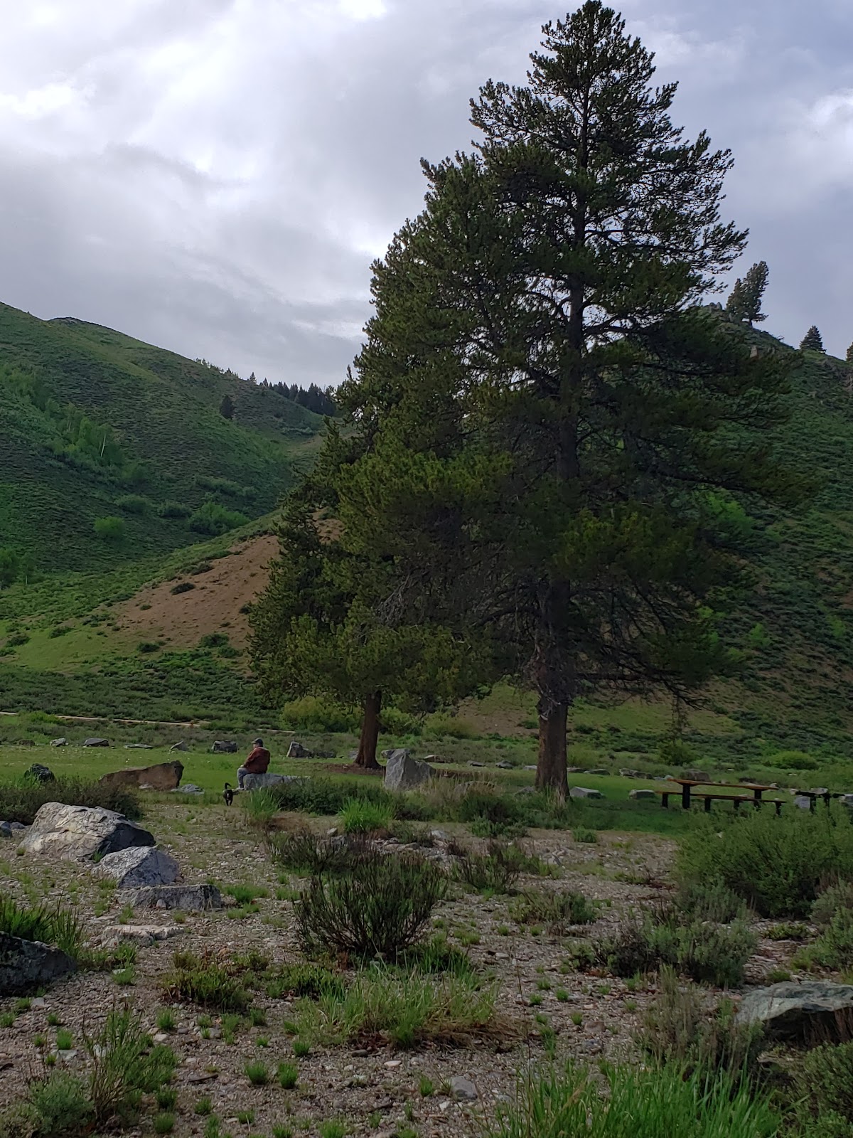 Skeleton Creek Campground