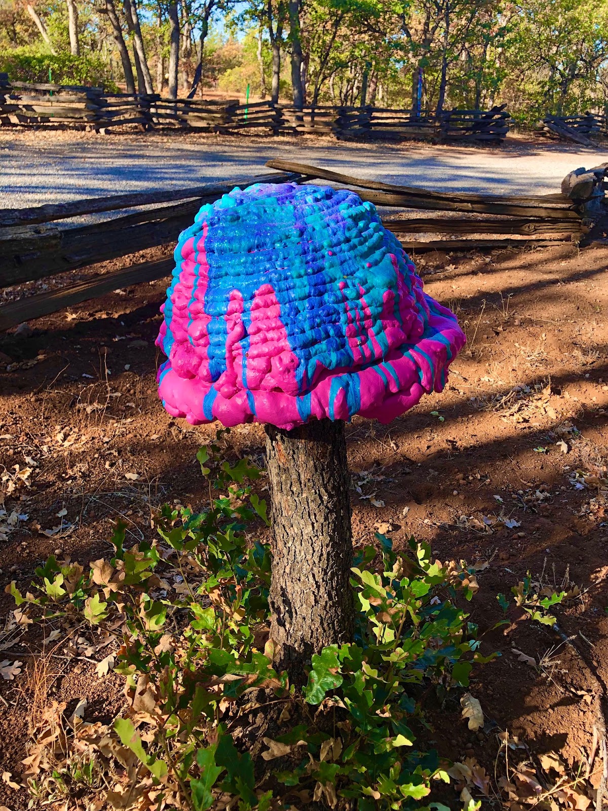 Lassen Pines RV Resort