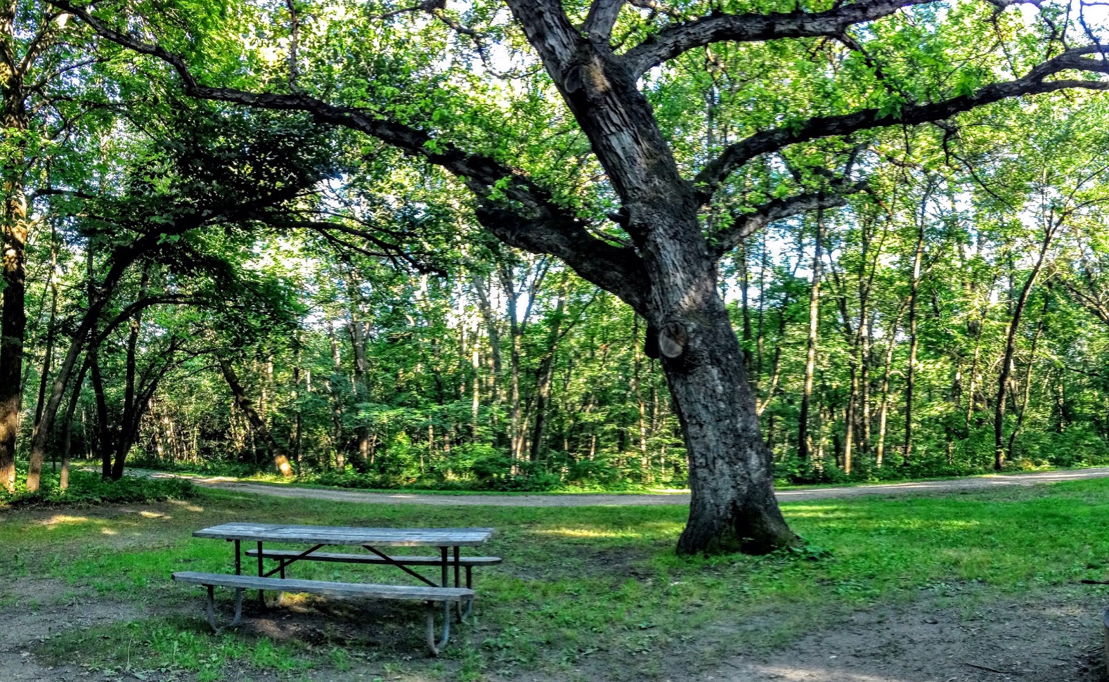 Ashton-Wildwood County Park