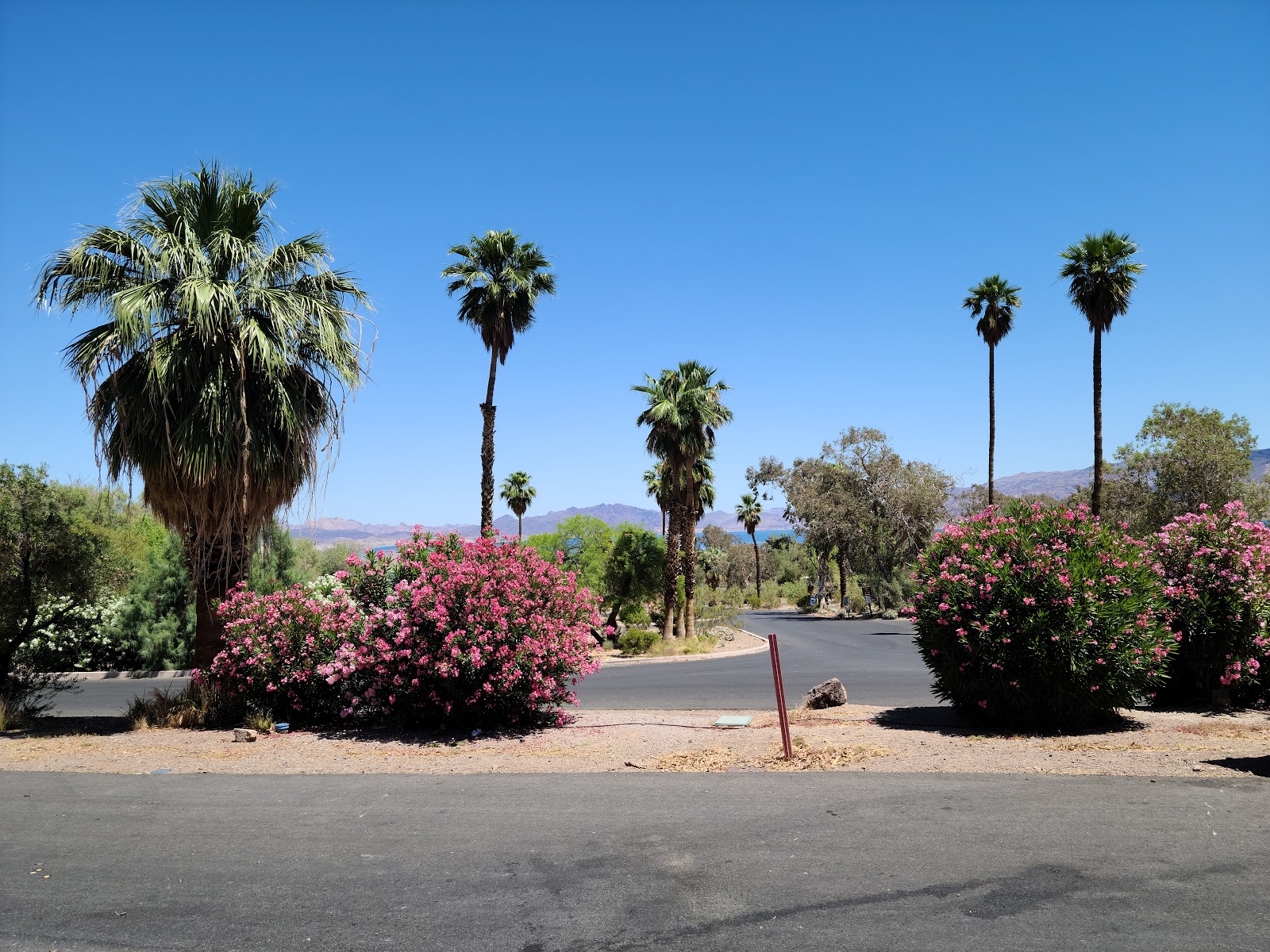 Cottonwood Cove Campground - Lake Mead National Rec Area