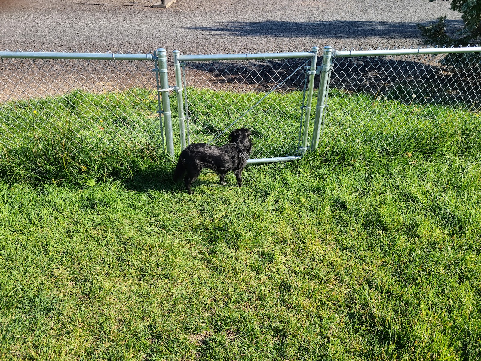 Jefferson County Fairgrounds RV Park