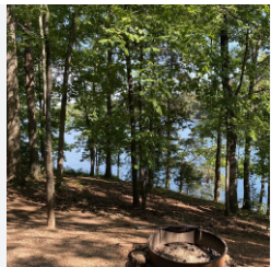 Pine Cone Campground