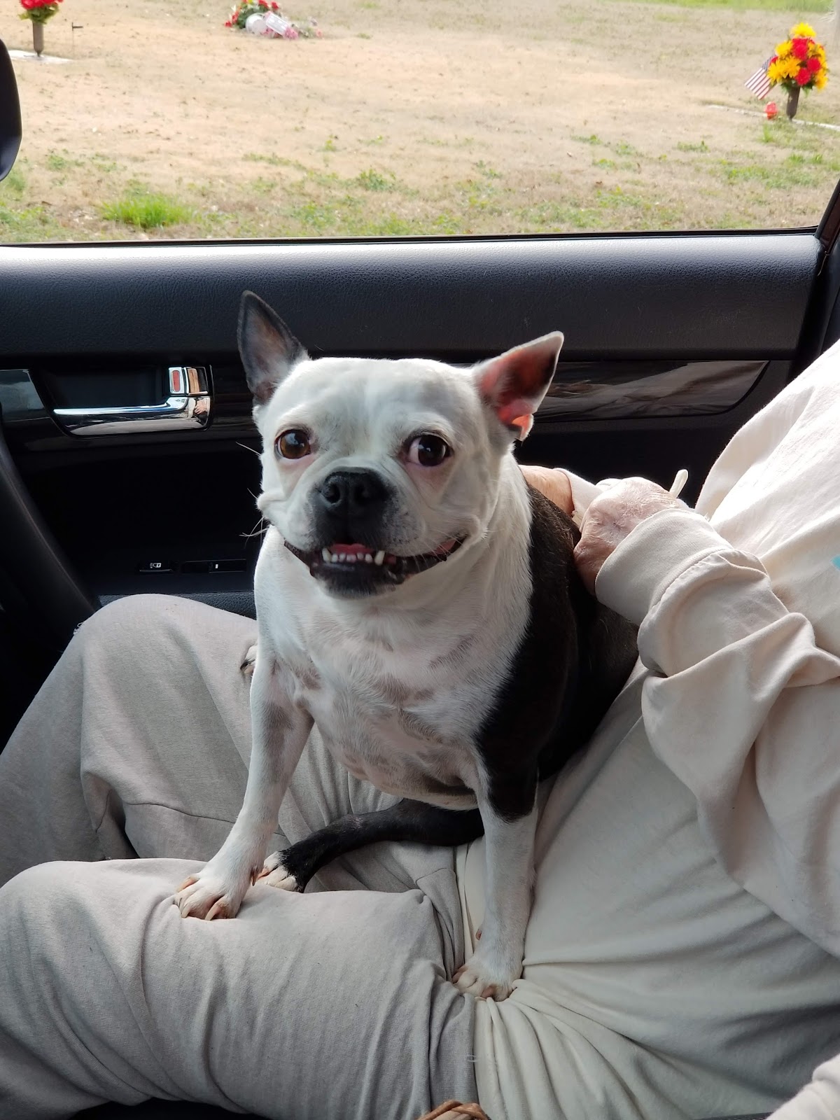 Chattahoochee RV Park