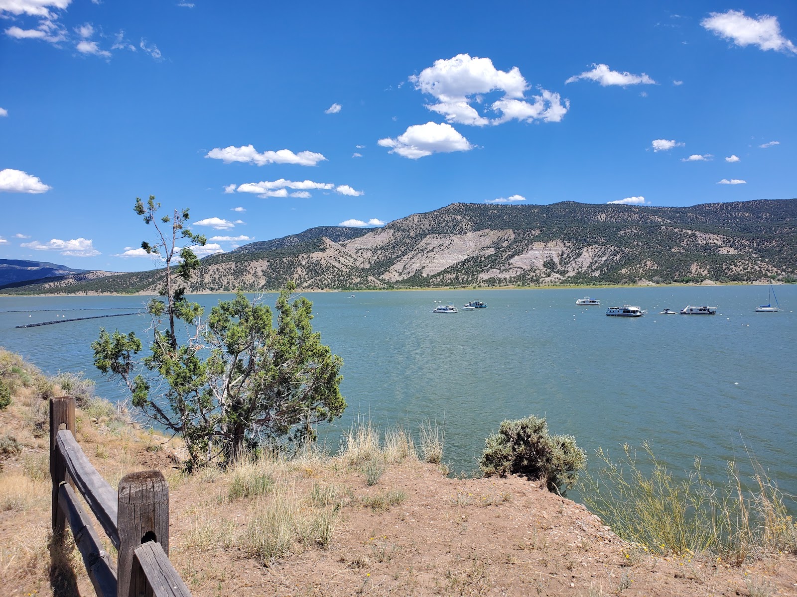 Arboles Point - Navajo State Park