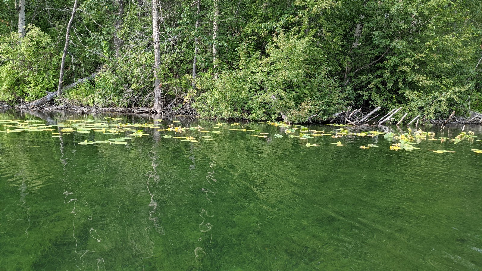 Kepler Bradley Lakes State Park