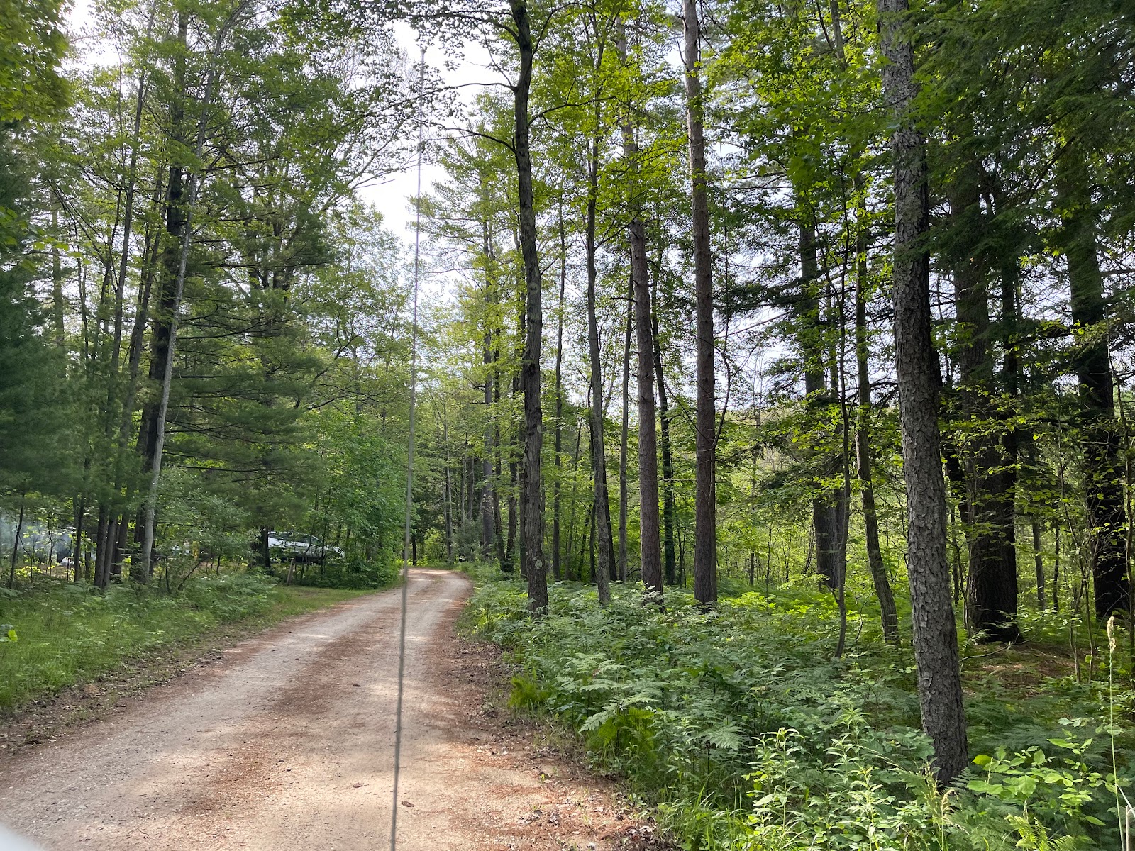 Timber Creek NF Campground