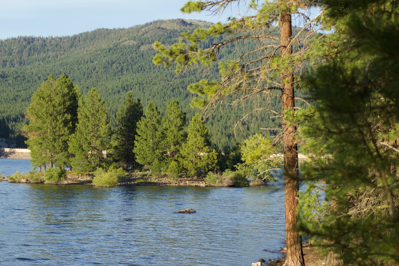 Emigrant Group Campground