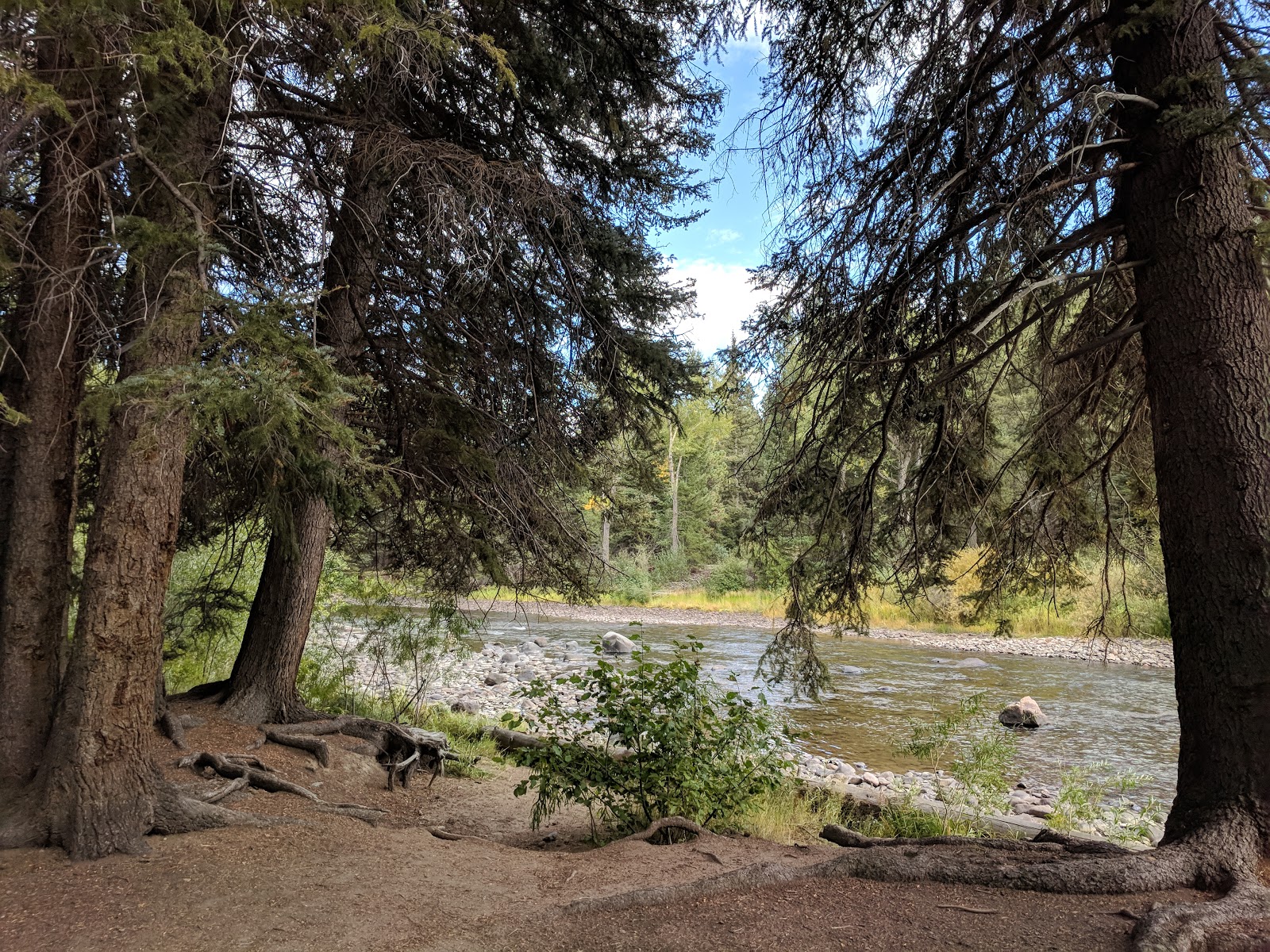 Aspen Glade Campground
