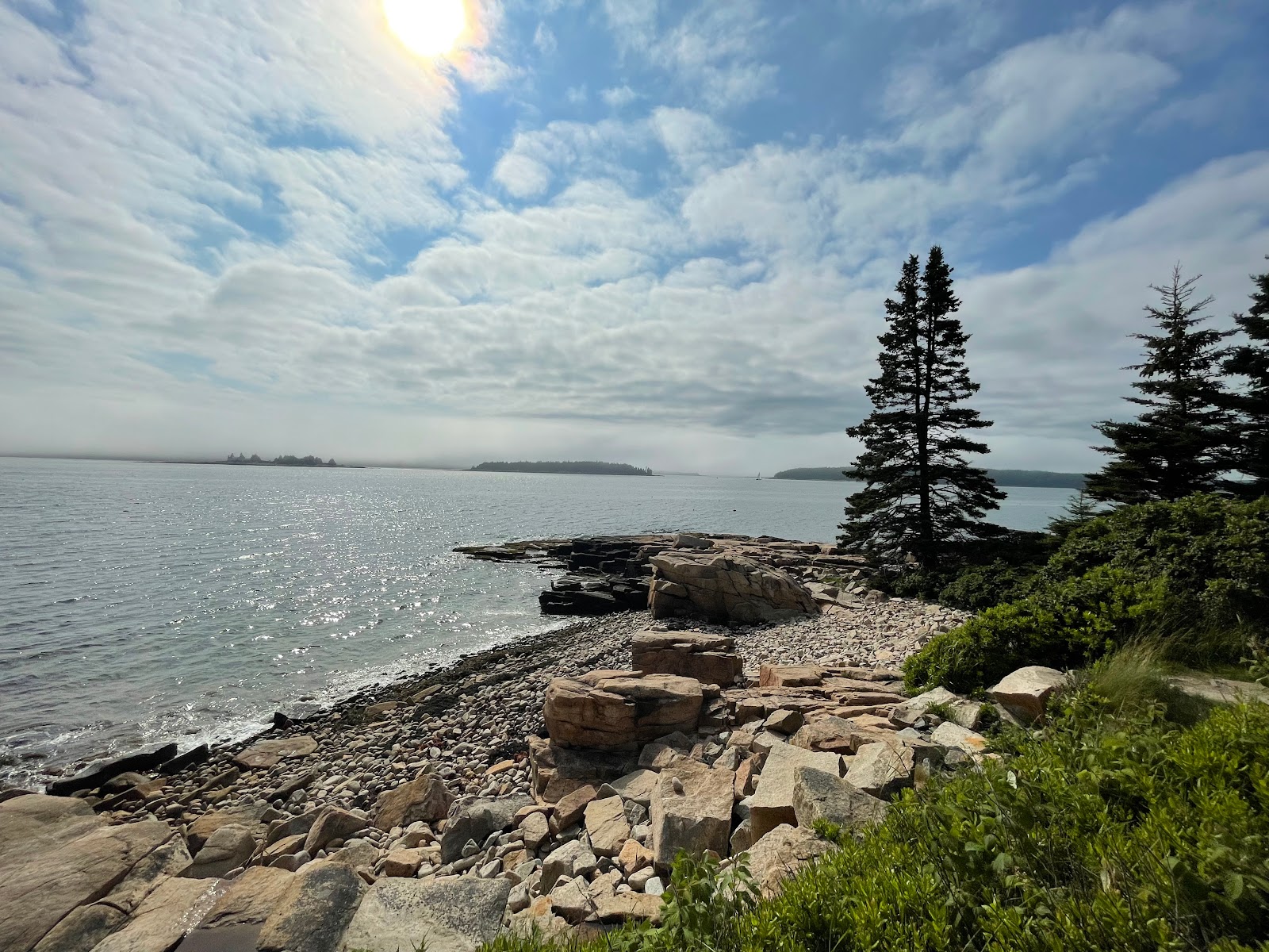 Schoodic Woods Campground