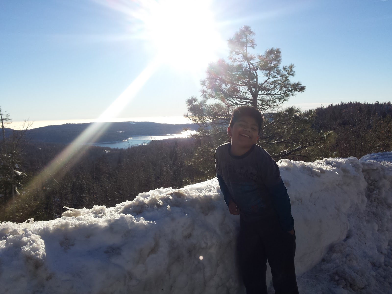 Ponderosa Trailer Park