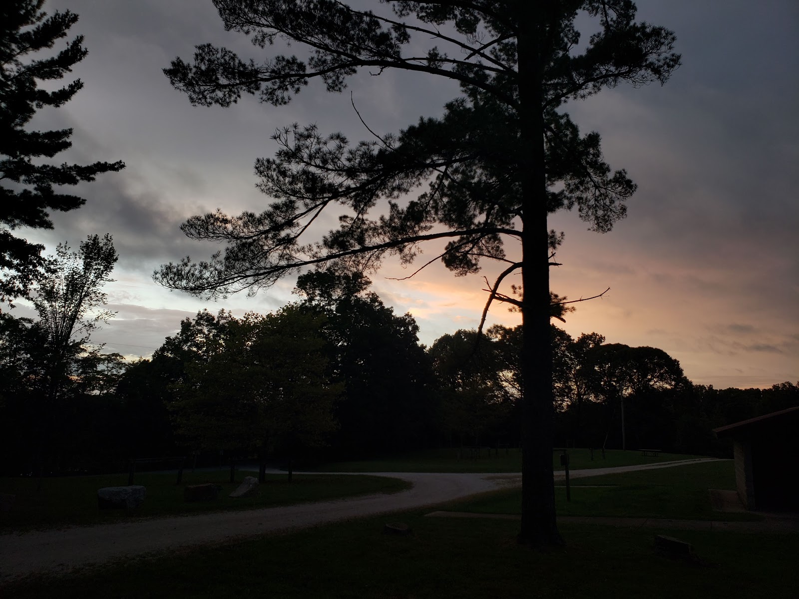 Youngs Creek Horse Camp