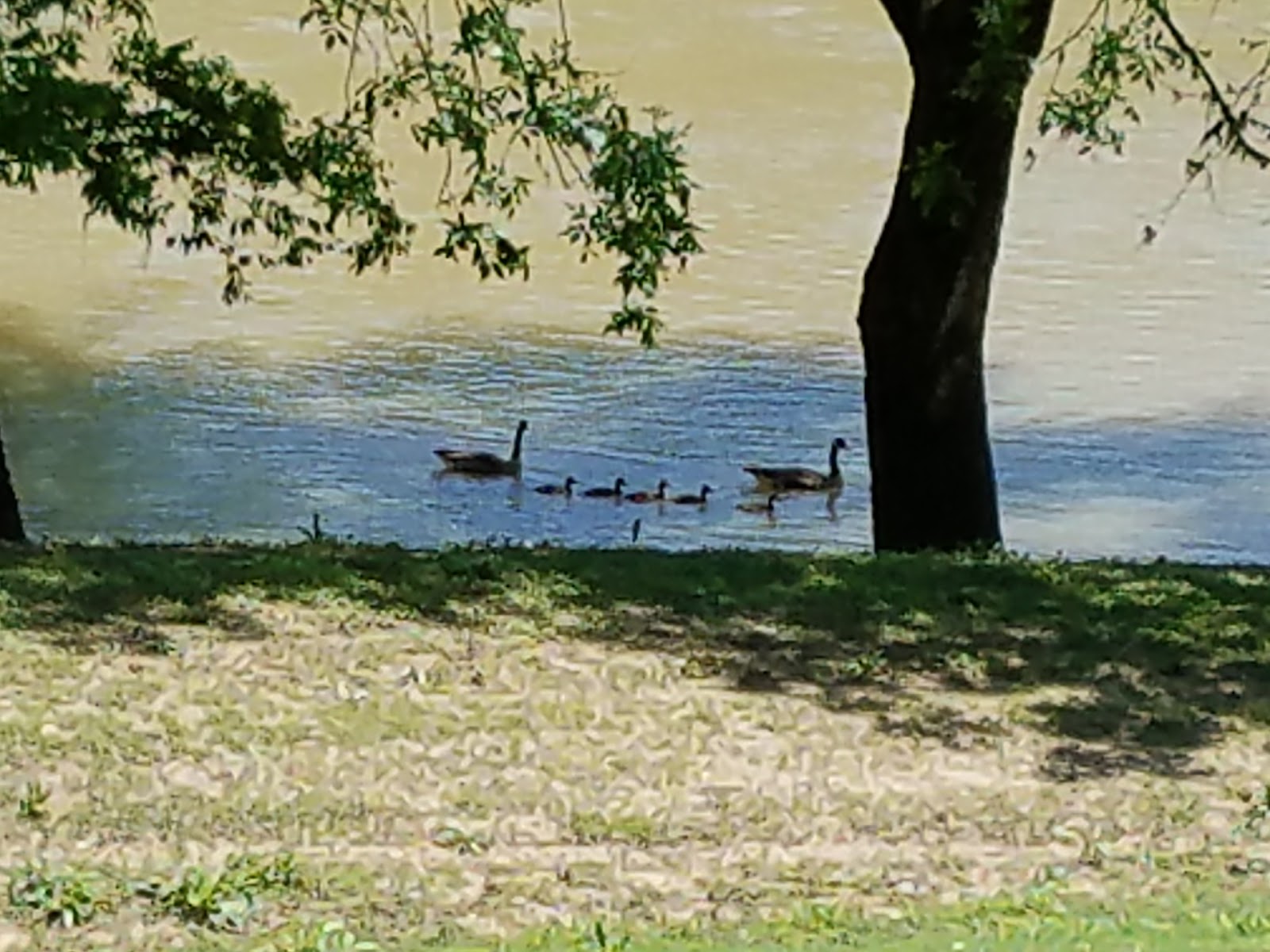 Hide-A-Way on The White River