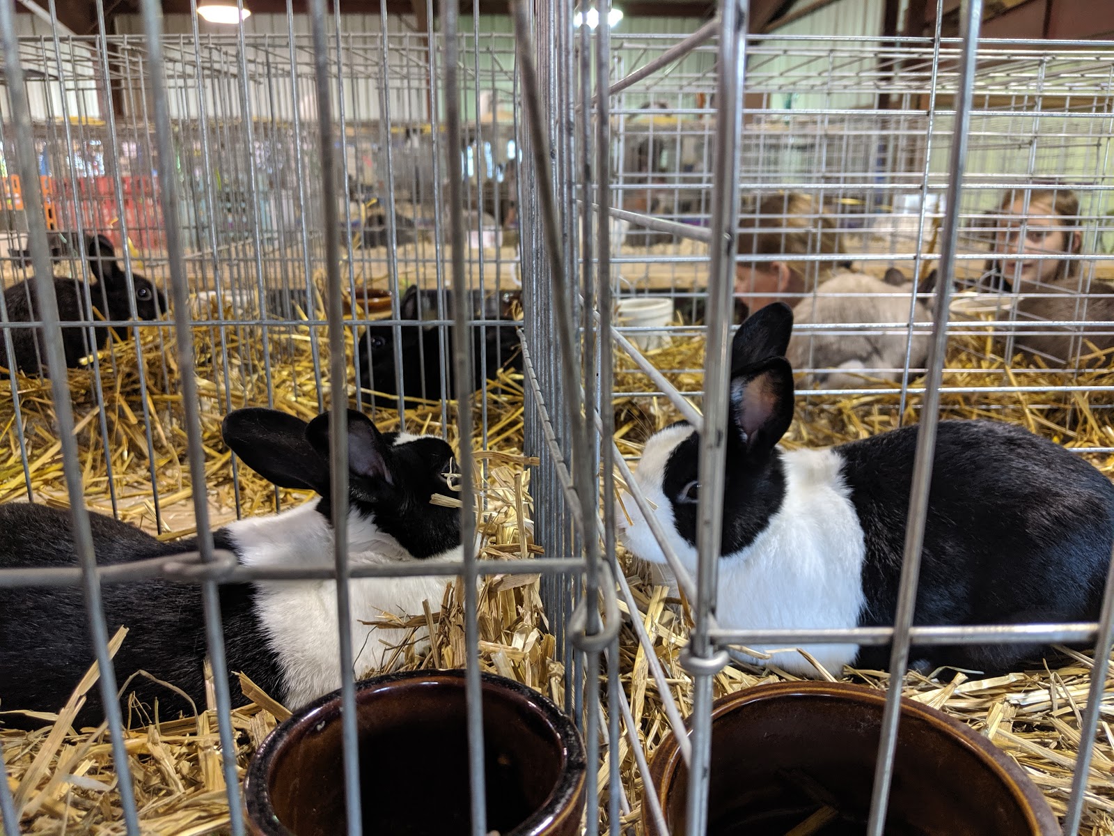 Central Wisconsin State Fairground Campground