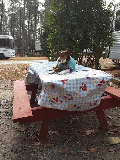 R and D Family Campground