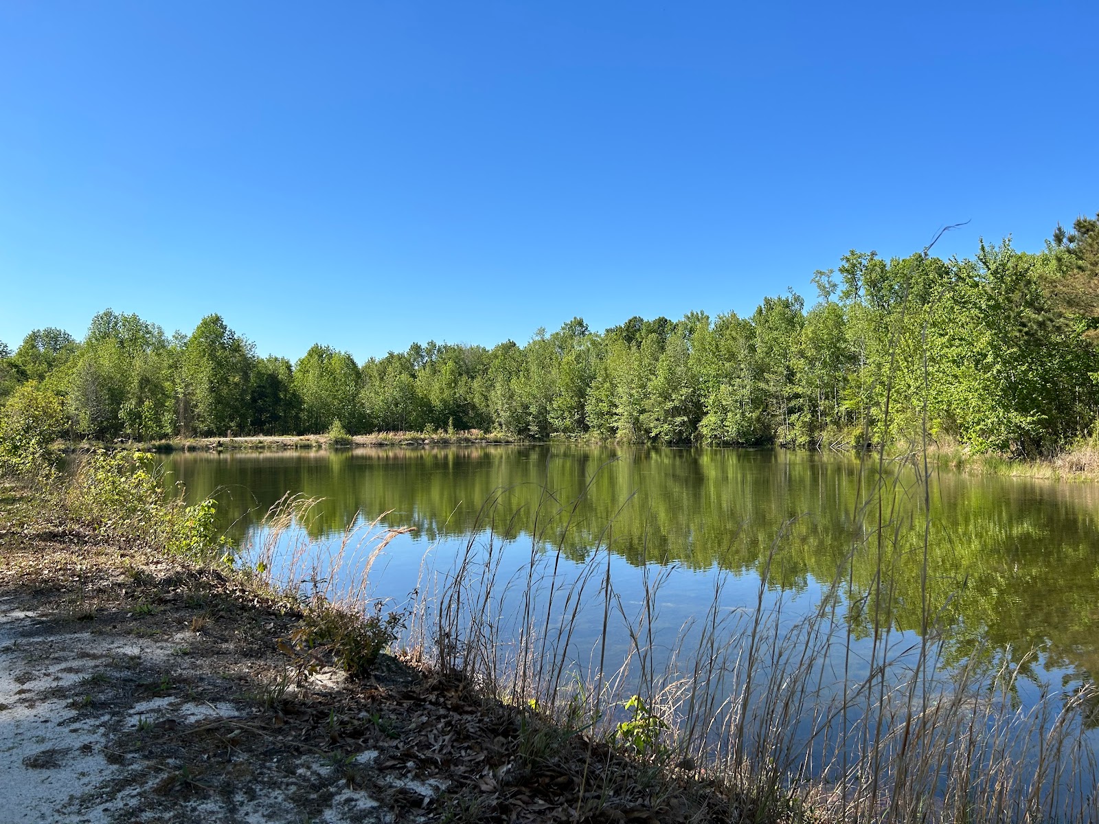 Midpoint I-95 RV Park