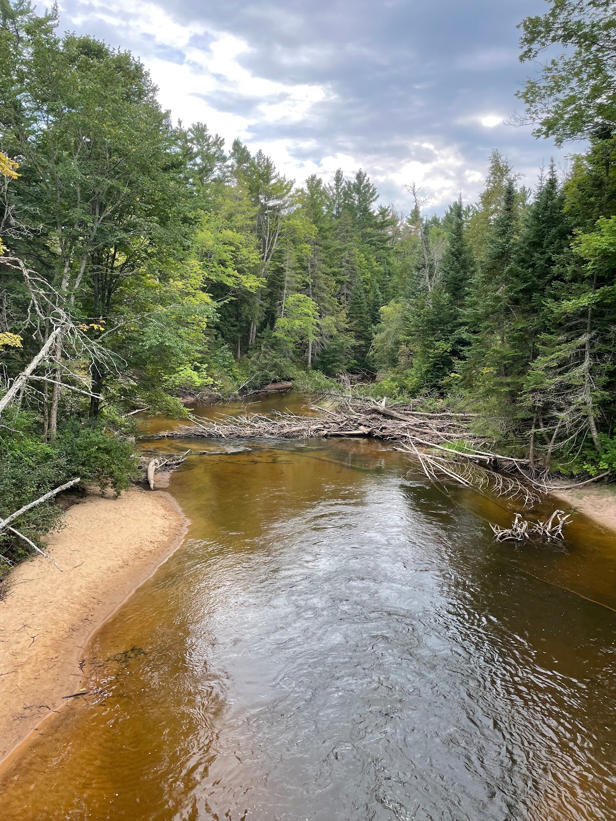 Lake Michigan NF Campground