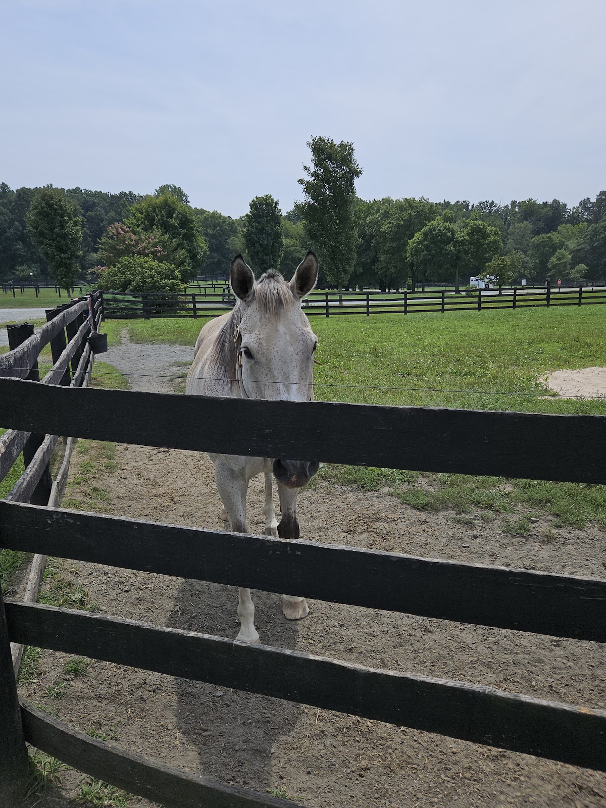 Fair Hill NRMA Park Office
