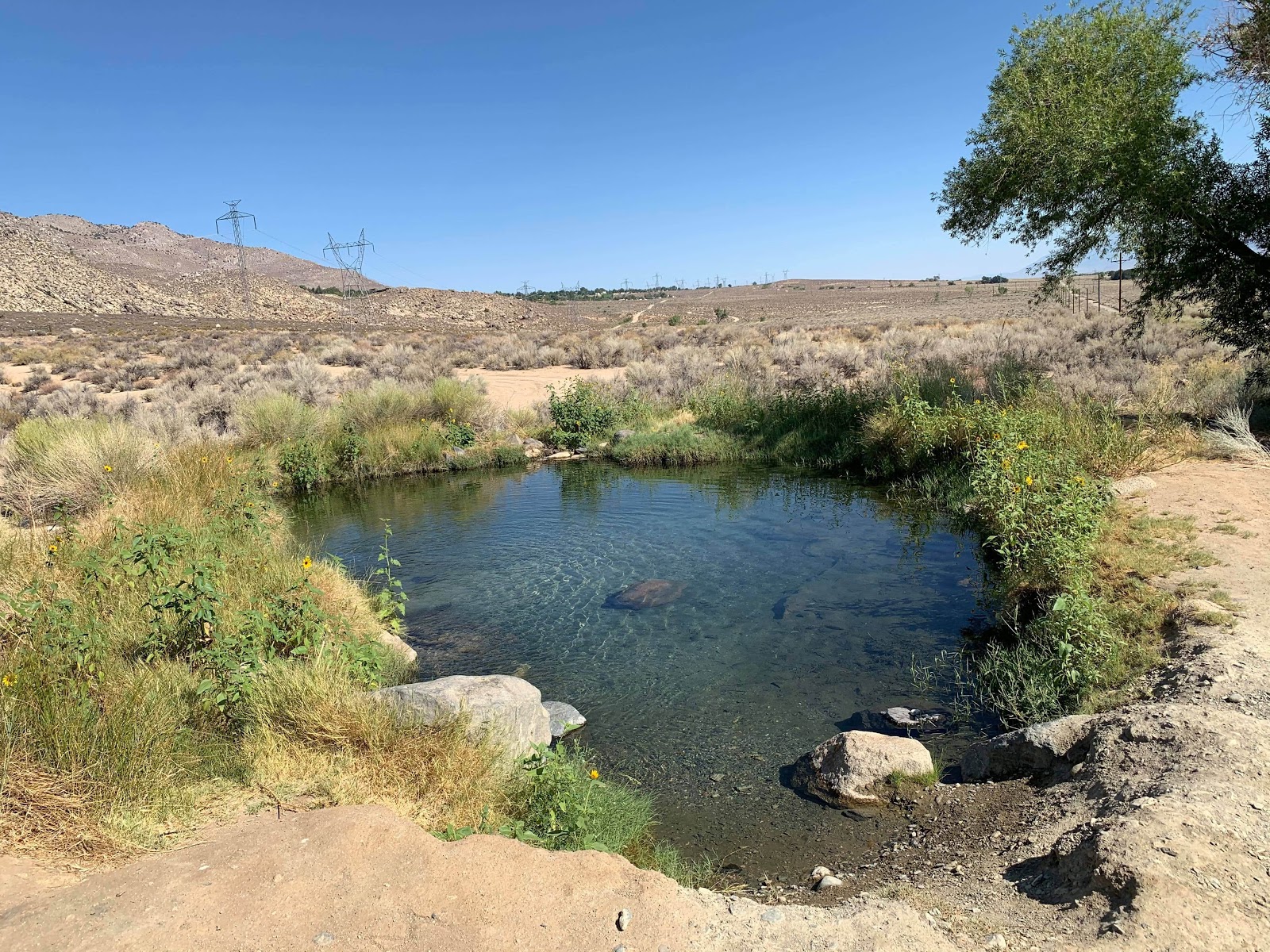 Keoughs Hot Springs and Campground