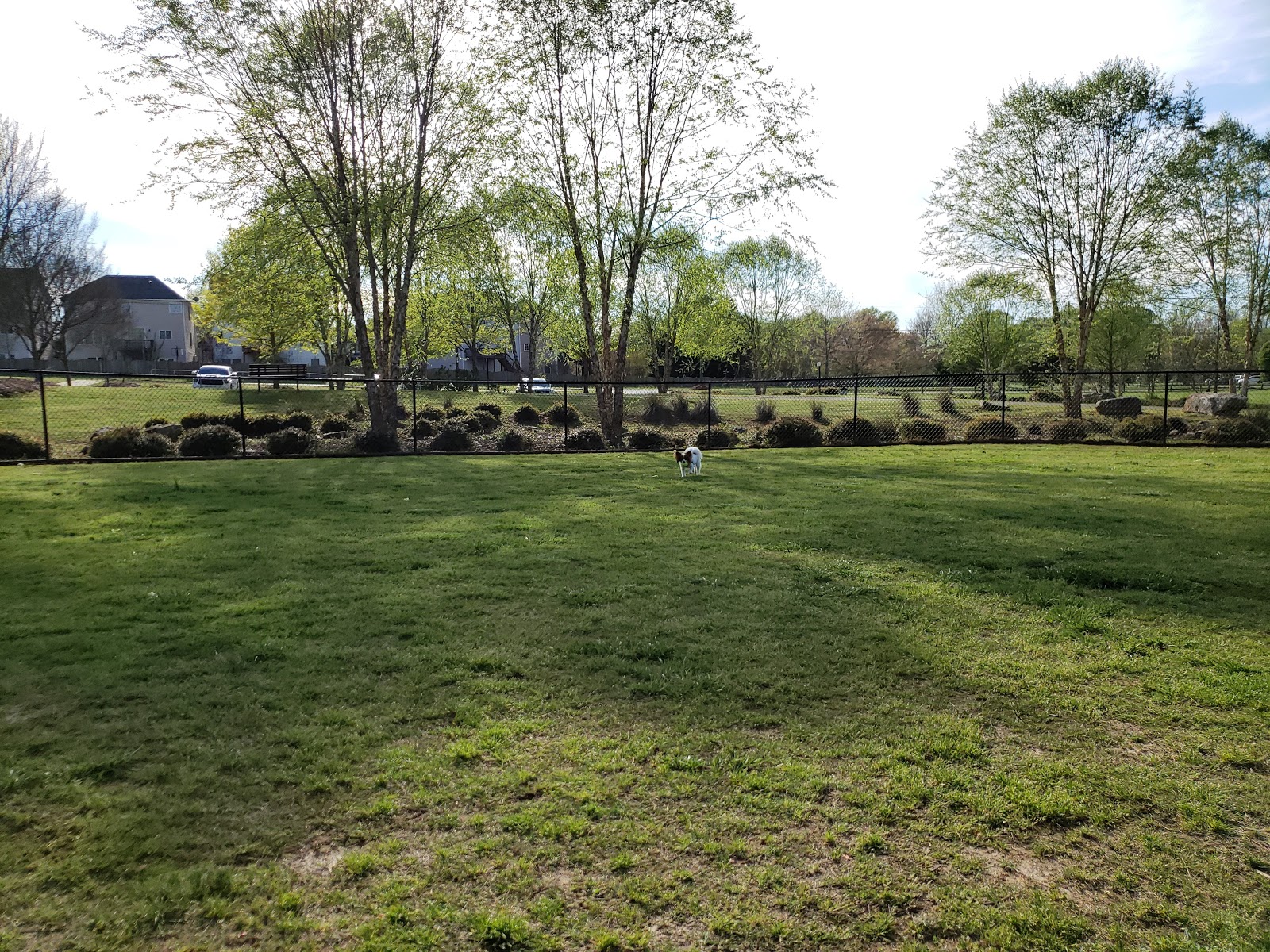 Chattapoochee Dog Park