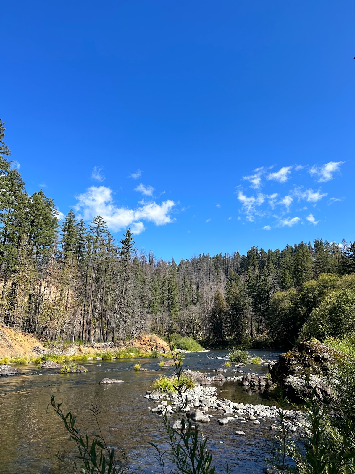 Alder Flat Campground