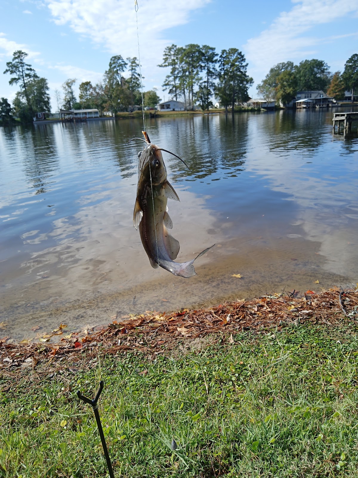 Lake Murvaul Park & Marina