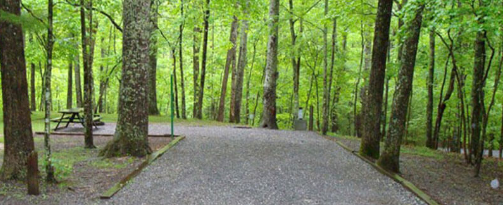 Colonel's Rest Bed & Breakfast