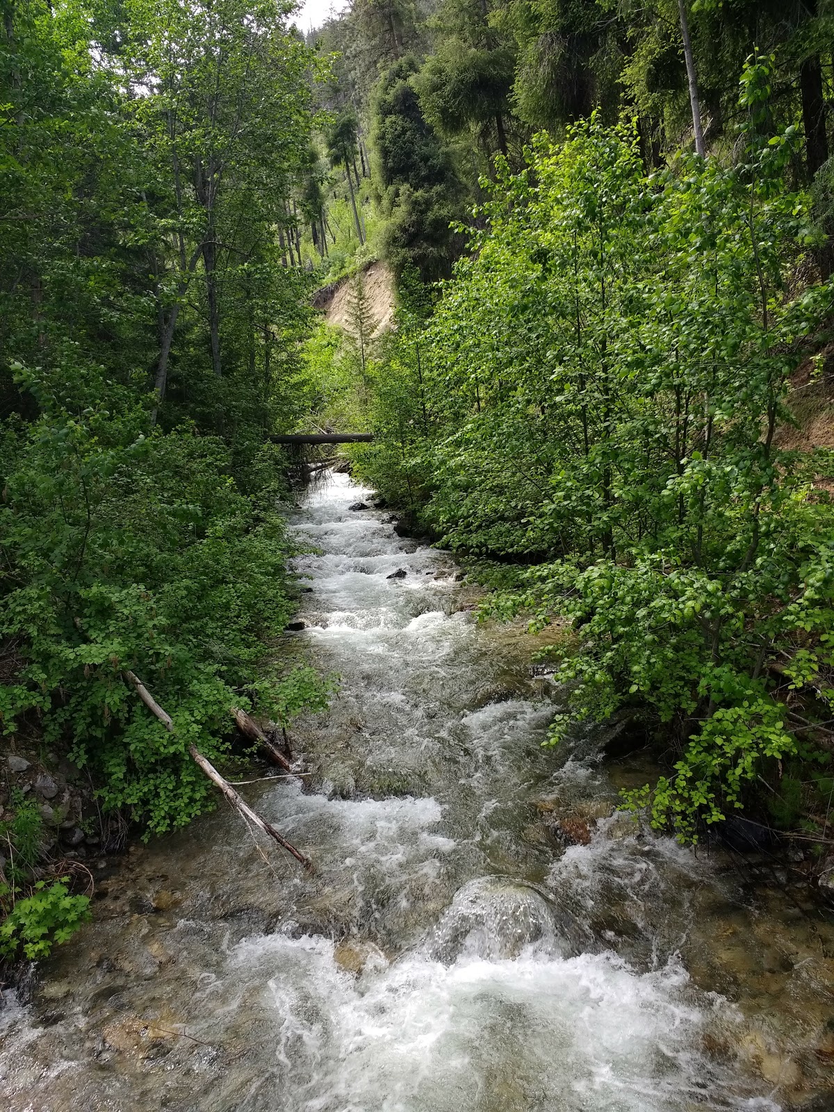 Snowberry Bowl Campground