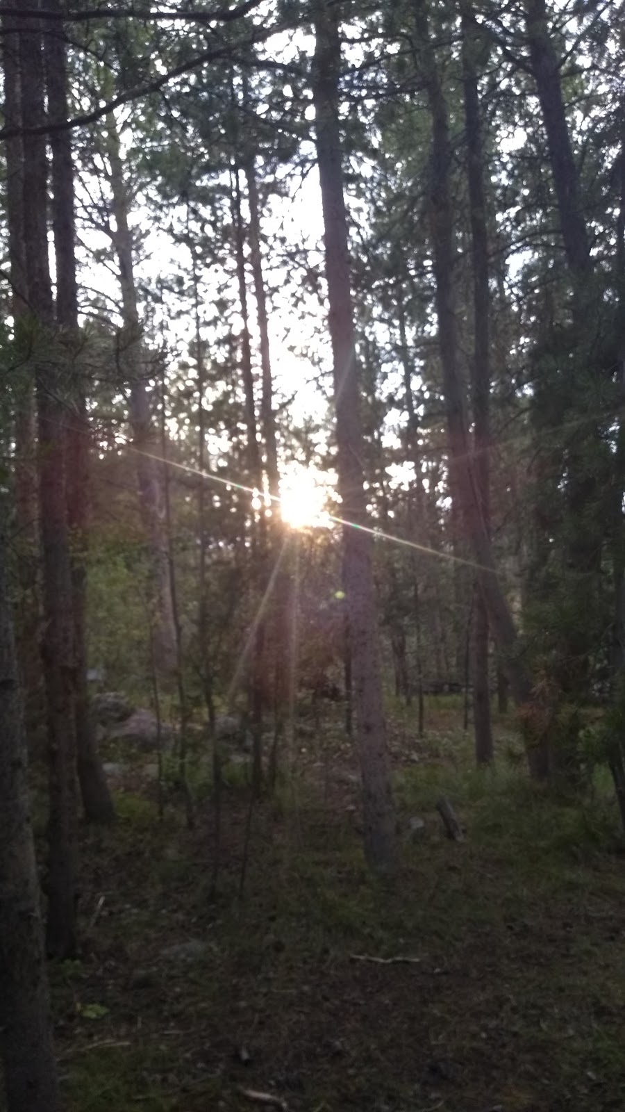 Meeks Cabin Campground