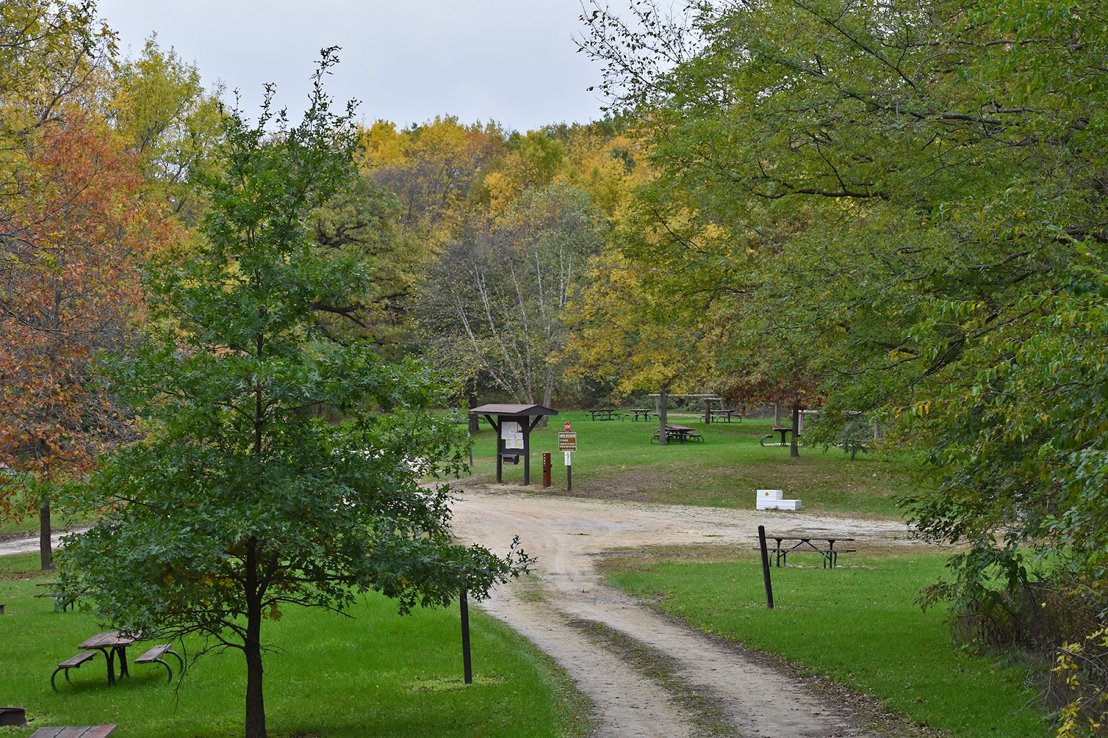 Matsell Bridge Natural Area